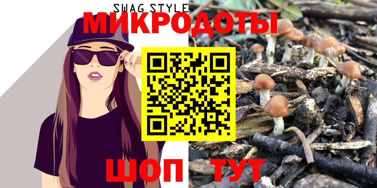 Галлюциногенные грибы Cubensis Ачхой-Мартан
