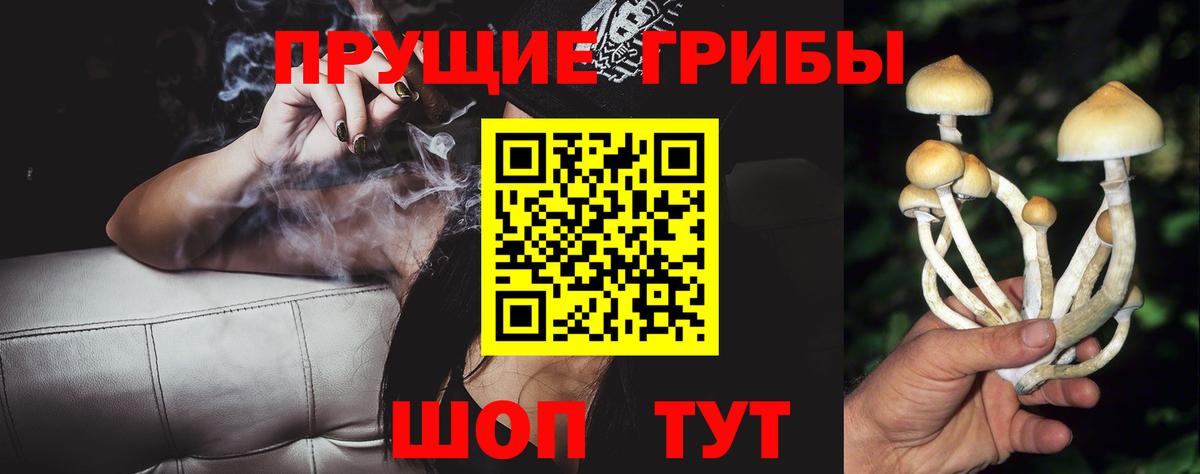 Псилоцибиновые грибы GOLDEN TEACHER  Вход с VPN  Ачхой-Мартан 